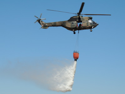 Carel Scheepers  - Oryx_Bambi_bucket_400x300